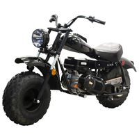 X-PRO Supersized 200CC Youth Mini Bike Gas Powered Mini Trail Bike Scooter Mini Motorcyle,19" Wide Fat Balanced Tires! Big Headlight! (Black)