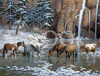 Hi-Look Microfiber Cleaning Cloth - Spirit of the Rockies