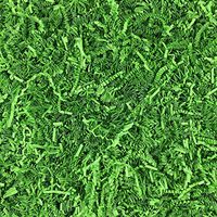 Worlds Crinkle Cut Paper Shred for Packing Filler Gift Wrap Basket Filler Colored Crinkle Paper 1LB Lime Green