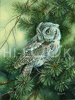 Hi-Look Microfiber Cleaning Cloth - Screech Owl