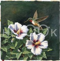 Hi-Look Microfiber Cleaning Cloth with Hummingbird Print - Hummer's Choice