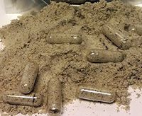 Moringa Oleifera Malunggay Seed Powder Capsules - Non GMO - All Natural! (1200) - Made Fresh On Demand!