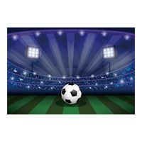 Lfeey 5x3ft Soccer Stadium Backdrop Lighting Football Pitch Lawn Photo Booth Props Grassland Sports Field Background for Photography Boys Kids Birthday Party Decoration