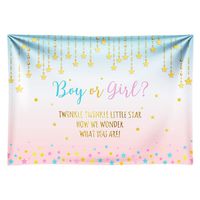 Funnytree 10x8ft Durable Fabric Pink and Blue Gender Reveal Party Backdrop No Wrinkles Boy Or Girl Twinkle Twinkle Little Star Photography Background Photo Banner for Baby Shower Photo Booth