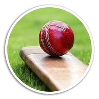 2 x 10cm Cricket Ball Vinyl Stickers - Sports Men's Sticker Laptop Luggage #8267 (10cm Wide)