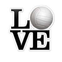 Decal Serpent Love Volleyball Color Vinyl Sports Car Laptop Sticker - 6"