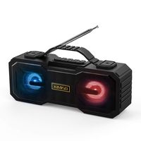 Portable Radio, Boombox, with FM Radio RGB Color Changing Light Bluetooth Speakers,USB/TF/AUX/BT Input,Wireless Hi-Fi Stereo Pairing,USB Rechargeable Durable Design Backyard,Outdoors,Travel,Home Party
