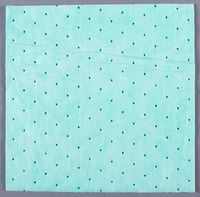 MediChoice Absorbent Floor Mat, Standard, No Backing, Medium Absorbency, Polyethylene/Polypropylene, 16x4 Inches, Green, 1314FM32016N (Case of 60)