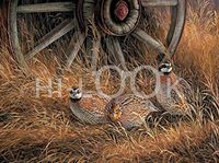 Hi-Look Microfiber Cleaning Cloth, bird design - Wagonwheel Bobwhites