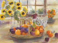 Hi-Look Microfiber Cleaning Cloth - Country Sunshine