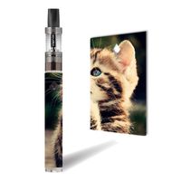 Decal Sticker Skin WRAP Protective Vinyl Sweet Cuddly Pussy Sticker NOT a Vape for Vision Spinner 2