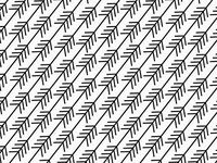 Colorful Rain Forest Paradise Birds Art DIY Crafts Tissue Paper for Gift Wrapping 20"X30" 5 Sheets