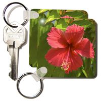 3dRose Dominican Republic, Bavaro, Hibiscus flower-CA14 LEN0165 - Lisa S. Engelbrecht - Key Chains, 2.25 x 4.5 inches, set of 4 (kc_72200_2)