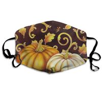 Pumpkin of Fall Dust Mask,Washable and Reusable Cleaning Gardening Outdoor Activities Warm Windproof Mask