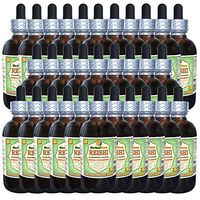 Reishi Mushroom (Ganoderma Lucidum) Glycerite, Organic Dried Mushrooms Alcohol-Free Liquid Extract (Brand Name: HerbalTerra, Proudly Made in USA) 30x2 fl.oz (30x60 ml)