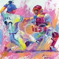 Hi-Look Microfiber Cleaning Cloth - Baseball