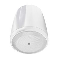JBL C65P/T-WH Compact Full-Range Hanging Pendant Speaker, White (sold as pair)
