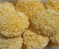 White Fungus Mushroom Tremella Premium Grade 1500 Gram