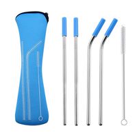 AINAAN Latest model Set of 4 Pieces Stainless Steel Straws,Reusable，With Cleaning Brush and Zipper Pouch Bag, 8.5 inch, Light Blue