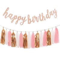 Aonor Rose Gold Birthday Party Decorations - Glittery Rose Gold Happy Birthday Banner and Tissue Paper Tassels Garland for Birthday Decorations