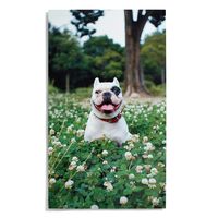 Custom Metal Wall Décor -24x36