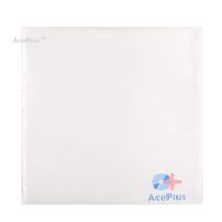 AcePlus 100 CPP CD Vinyl Sleeves 5"x5" with No Flap