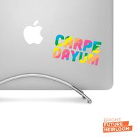 Carpe DAYUM! Decal - 4" wide printed decal - For cars, trucks, SUVs and more!