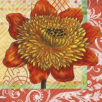 Cypress Home Splendid Posy Paper Cocktail Napkin, 20 count