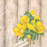 Celebrate the Home Floral 3-Ply Paper Luncheon Napkins, Eranthis Hyemalis, 20-Count