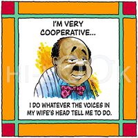 Hi-Look Microfiber Cleaning Cloth - I am very Coorporate