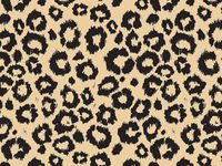 Black & Kraft Leopard Animal Print Tissue Paper for Gift Wrapping 20"x30" Sheets (10)