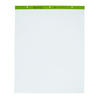 Ampad 24-032R Evidence Flip Chart Pads Ruled with 1-Inch Squares, 27x34, 50 Sheets Per Pad, 2 Pads Per Pack