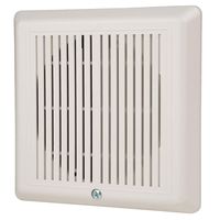 Temporal Horn, White