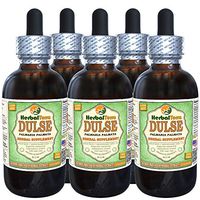 Dulse (Palmaria Palmata) Glycerite, Organic Dried Leaves Alcohol-Free Liquid Extract (Brand Name: HerbalTerra, Proudly Made in USA) 5x2 fl.oz (5x60 ml)