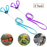 Bonaweite 2 Pack Adjustable Harness Leash, Pet Birds Nylon Anti-bite Training Hraness Outside Walk for Parrot African Grey Cockatoo Macaw Ringneck Parakeet Cockatiel Reptile Lizar