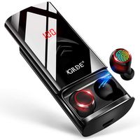 Wireless Earbuds Bluetooth 5.0 Headphones 210H Playtime with 6000mAh Charging Case as Power Bank, Hi-Fi Sound TWS Bluetooth Earbuds in-Ear Headphones IPX5 Waterproof with Mic