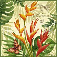 Hi-Look Microfiber Cleaning Cloth - Heliconia