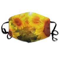Face Mask Sunflowers Flowers Designer Cycling Half Face Earloop Face Mask for Men