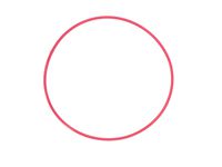 Olympus POL-EP03 O-Ring for PT-EP03