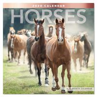 2020 Horses Wall Calendar (LME1591020)