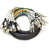Seismic Audio - SAXT-16x10M - 16 Channel 10' XLR Male to 1/4" TRS Snake Cable