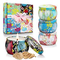 Fding Scented Candles Gift Set, 4.4 Oz Natural Soy Wax Aromatherapy, Stress Relief Soy Candles Gifts, Girl Travel Candles in Tins Candles with Pure Essential Oil Women Gifts 4 Pack