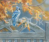 Hi-Look Microfiber Cleaning Cloth, bird design - Grandma's Gate