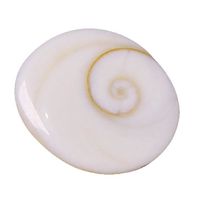 IndianStore4All Natural Gomti Chakra 18-20 MM Approx
