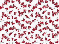 Christmas Themed Tissue Paper 20" x 30" - Berry Frost - 120 Sheets