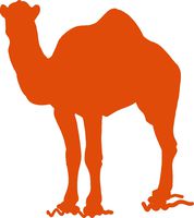 hBARSCI Camel Vinyl Decal - 5 Inches - for Cars, Trucks, Windows, Laptops, Tablets, Outdoor-Grade 2.5mil Thick Vinyl - Orange