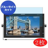【2 Pack】 Synvy Anti Blue Light Screen Protector for TVLogic LUM-171G 16.5" Display Monitor Screen Film Protective Protectors [Not Tempered Glass]