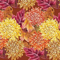 16-Count Paper Dinner Napkins, Mayflower Celebration