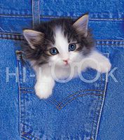 Hi-Look Microfiber Cleaning Cloth, cat design - Blue Jean Kitten