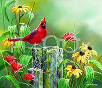 Hi-Look Microfiber Cleaning Cloth - Greeting the New Day - Cardinal